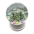 "What Dreams Are Made Of" Snowglobe